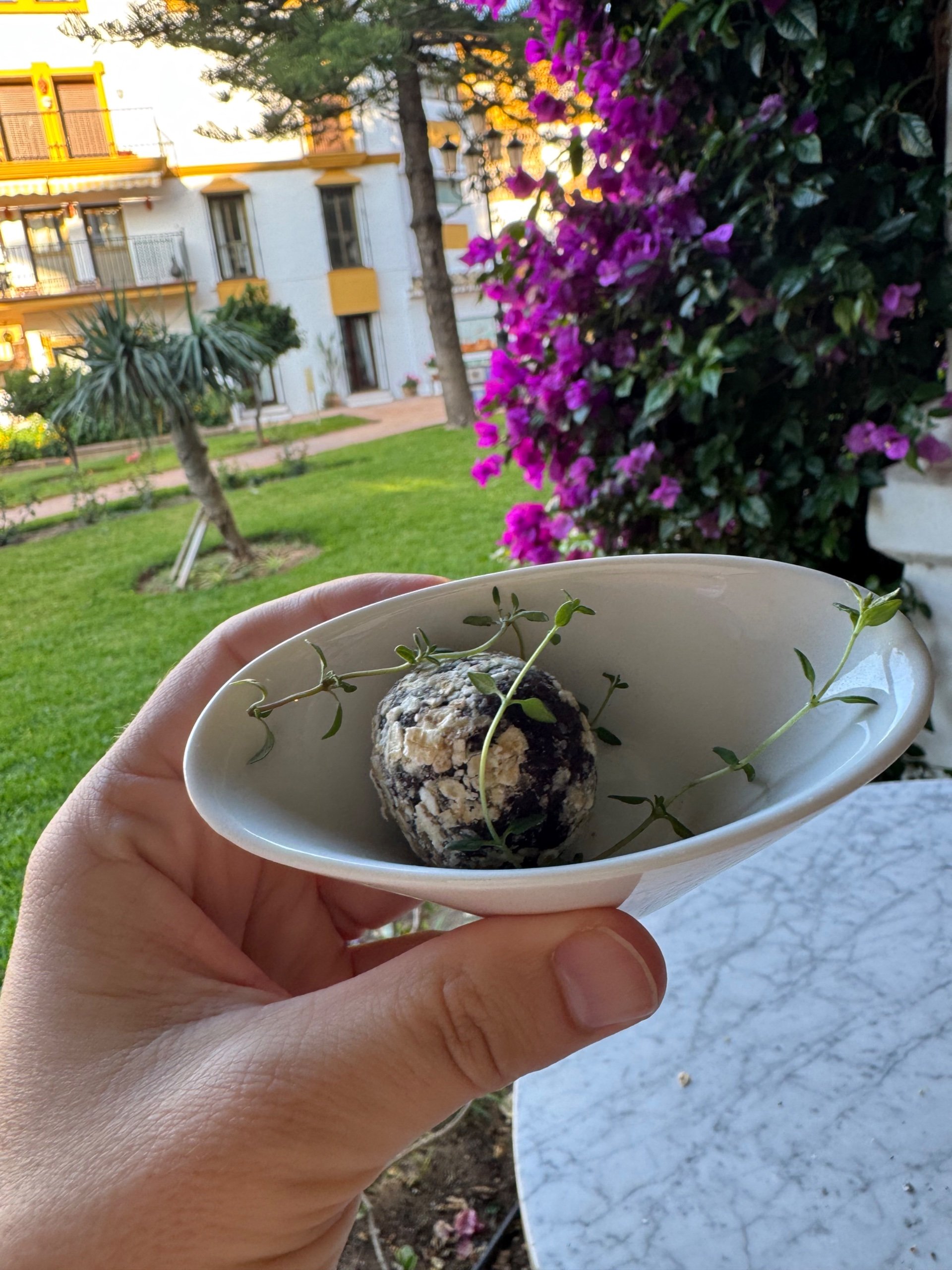 Una bolita energética vegana, con el patio de buganvillas al fondo