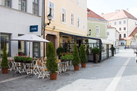 Csücsök - Specialty Coffee Community